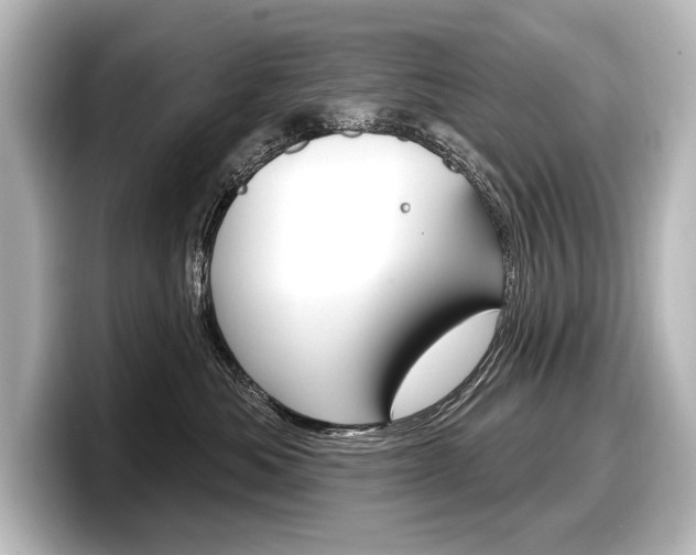 X0000098170525200804241012