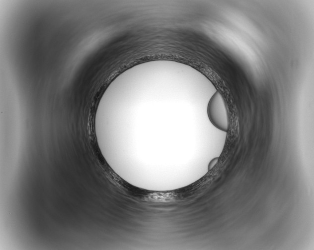 X0000098170526200804241012