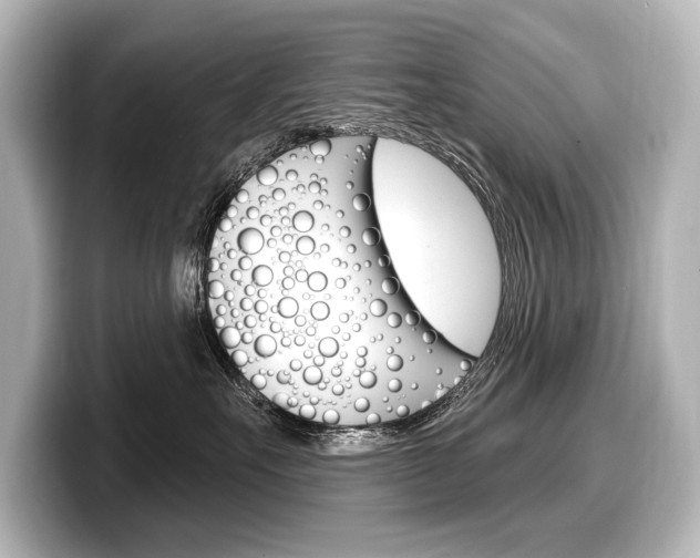 X0000098170527200804241012