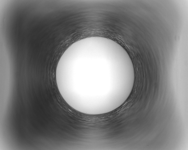 X0000098170528200804241012