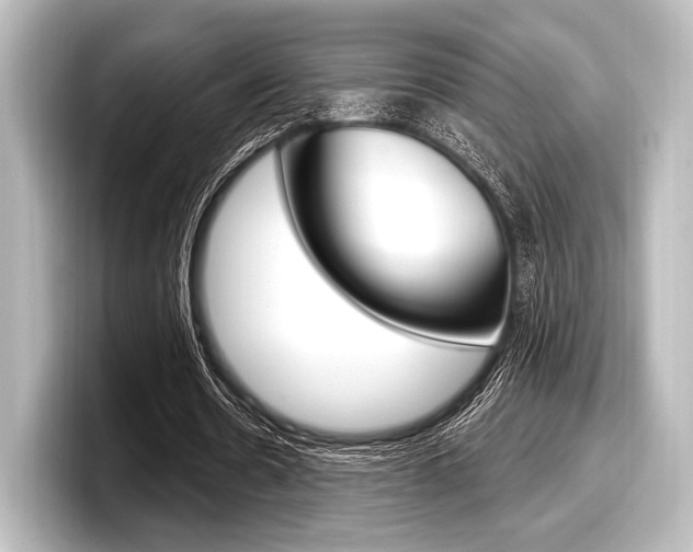 X0000098170530200804241011