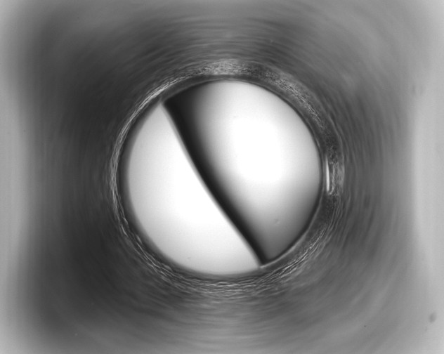 X0000098170531200804241011