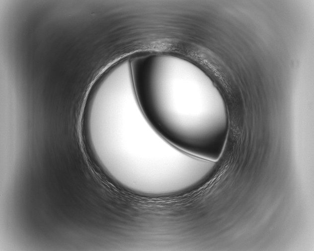 X0000098170532200804241011