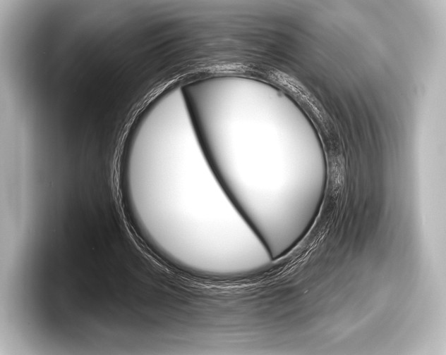 X0000098170533200804241011