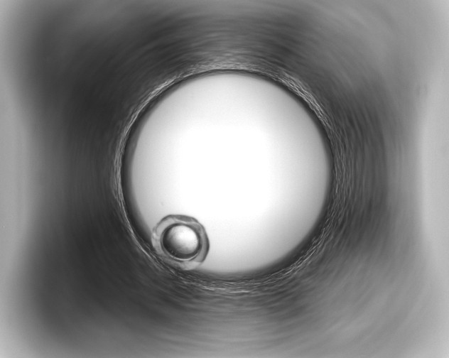 X0000098170534200804241011
