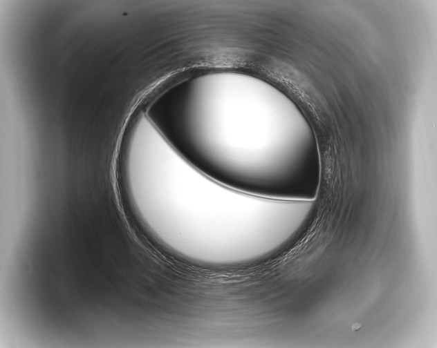 X0000098170536200804241012