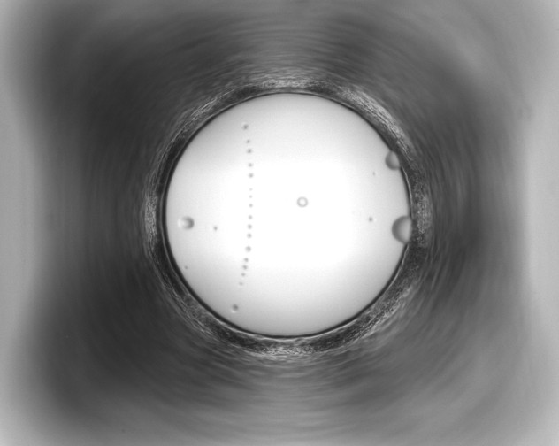 X0000098170537200804241012