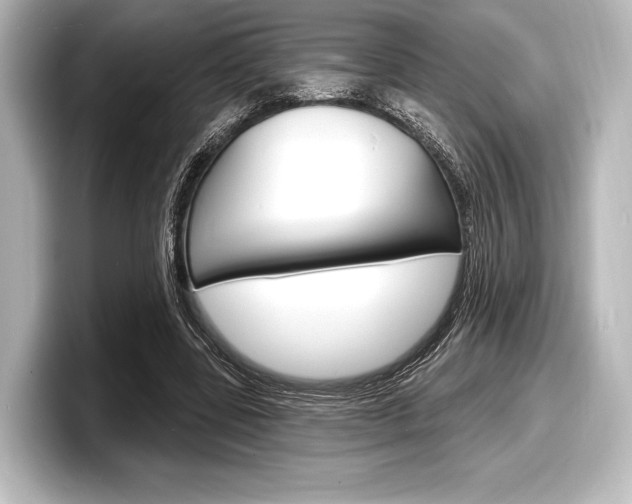 X0000098170539200804241012