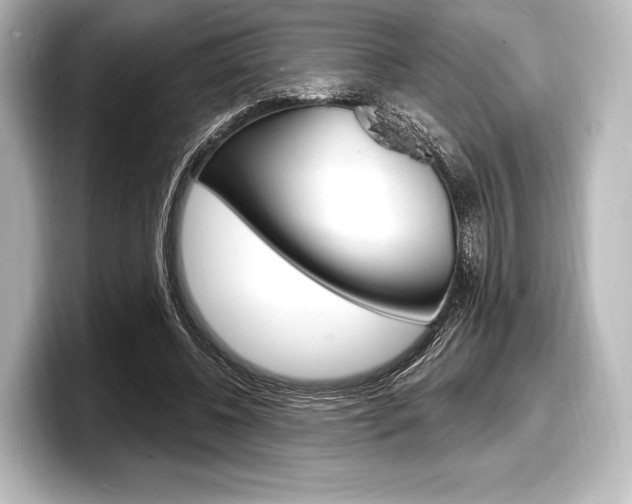 X0000098170540200804241012