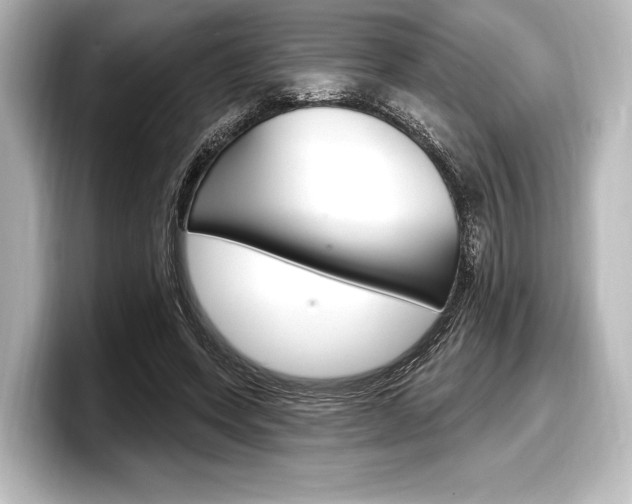 X0000098170543200804241012