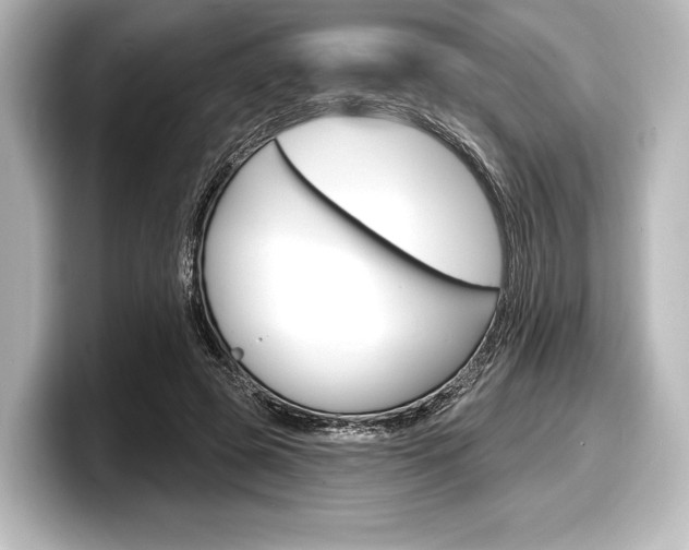 X0000098170545200804241012
