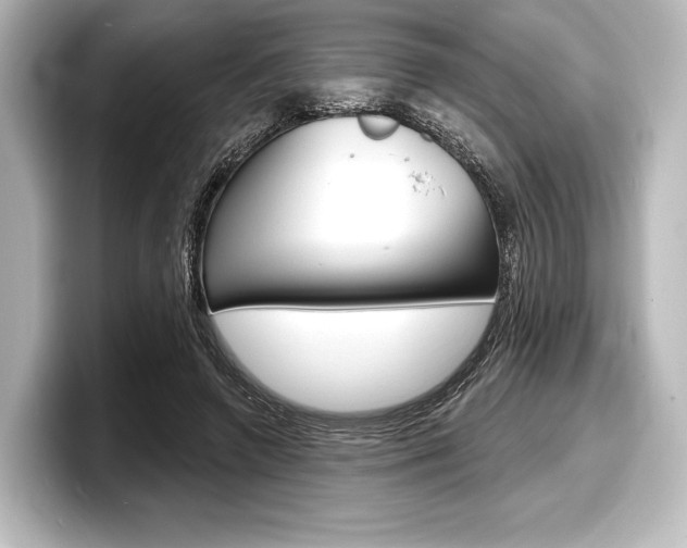 X0000098170546200804241012