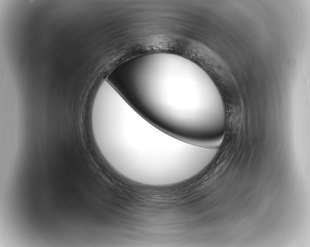 X0000098170548200804241012