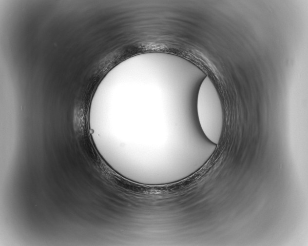 X0000098170549200804241012