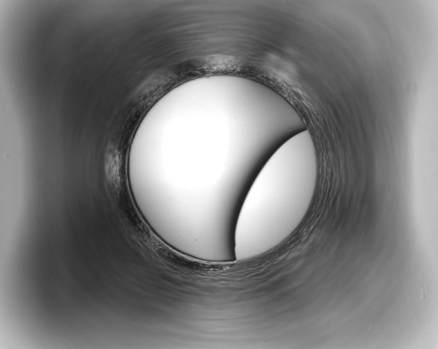 X0000098170550200804241012