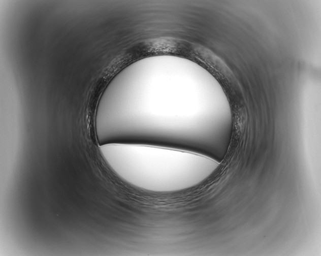 X0000098170551200804241012