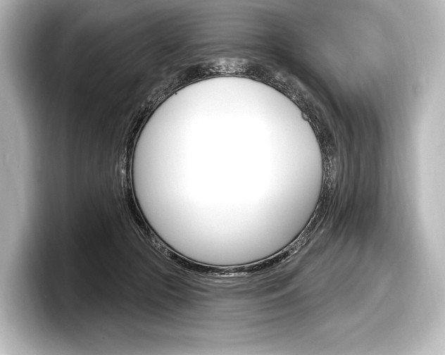 X0000098170553200804241012