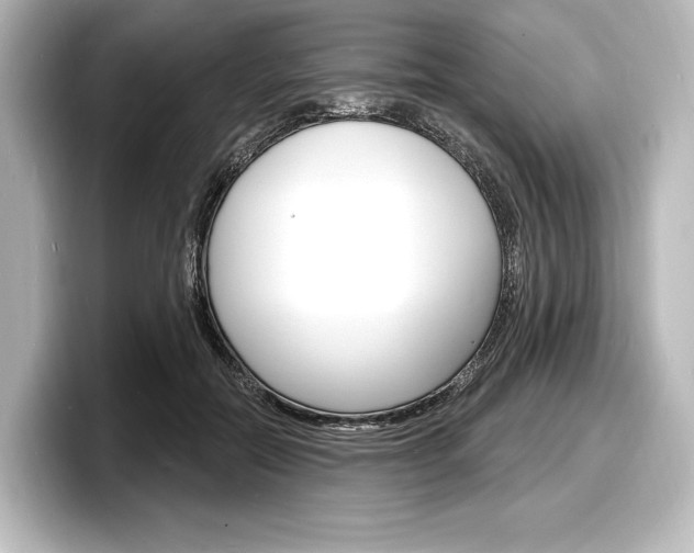X0000098170554200804241012