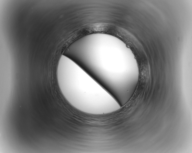 X0000098170555200804241012