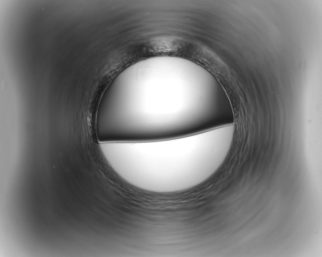 X0000098170556200804241012