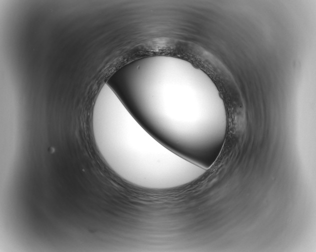 X0000098170558200804241012