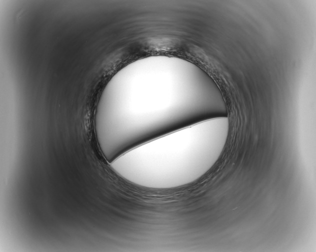 X0000098170559200804241012