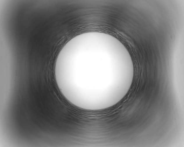 X0000098170560200804241012