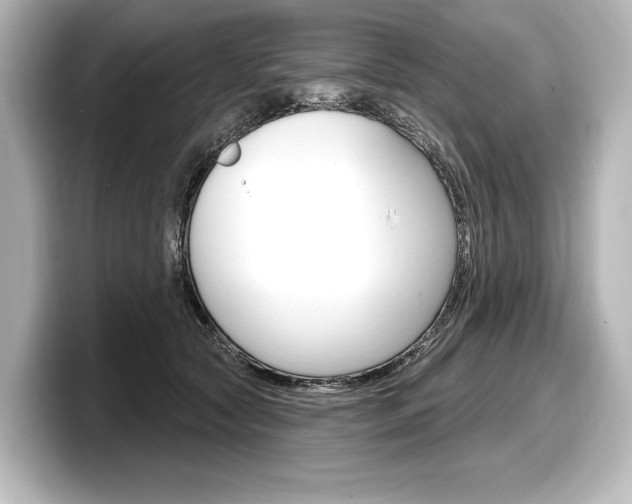 X0000098170561200804241012
