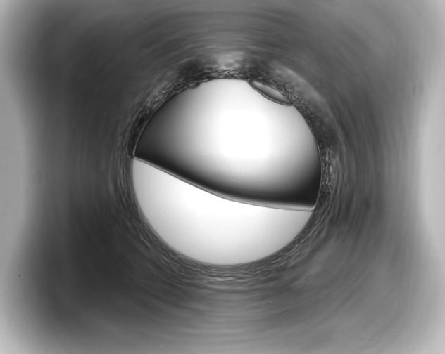 X0000098170562200804241012