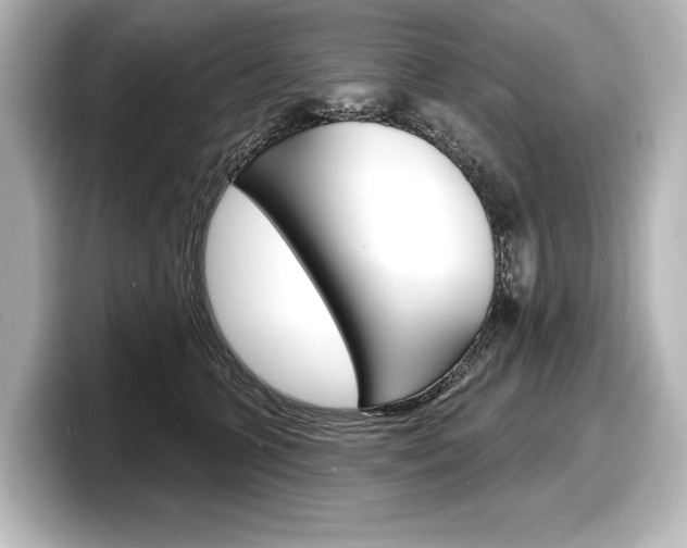 X0000098170563200804241012