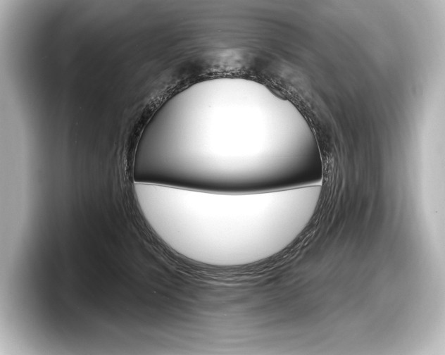 X0000098170564200804241012