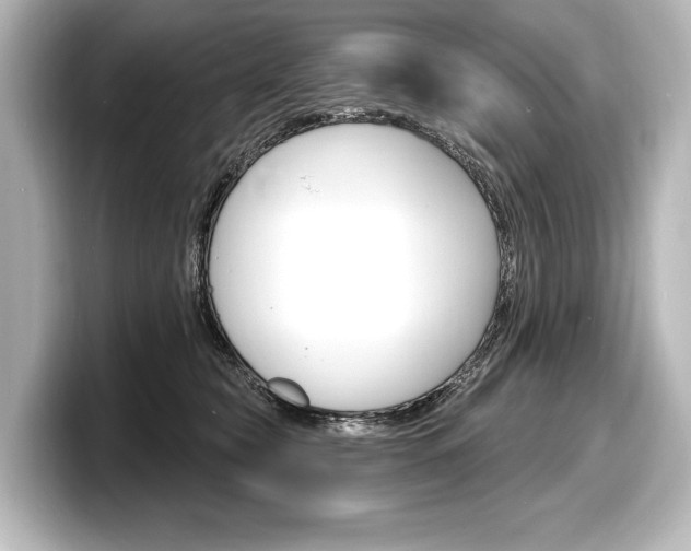 X0000098170565200804241012