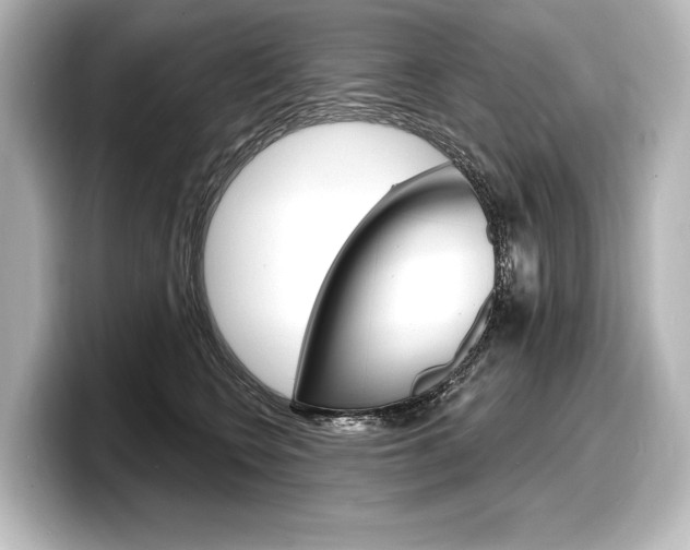 X0000098170566200804241012