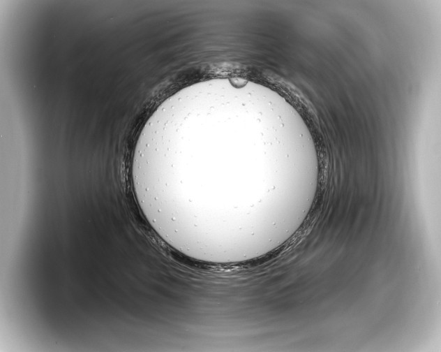 X0000098170569200804241012