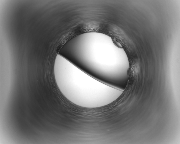 X0000098170570200804241012