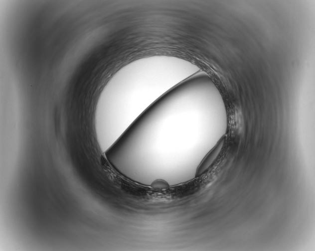 X0000098170572200804241012
