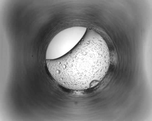 X0000098170573200804241012