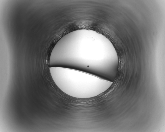X0000098170575200804241012