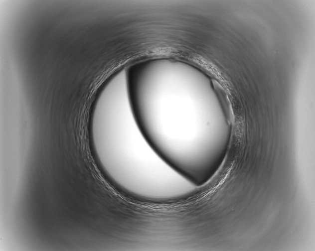 X0000098170577200804241011