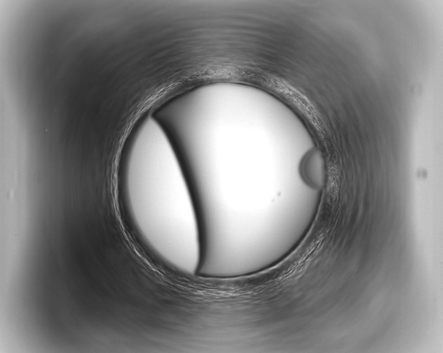 X0000098170578200804241011
