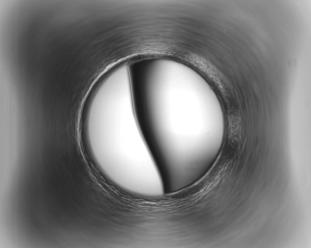 X0000098170580200804241011