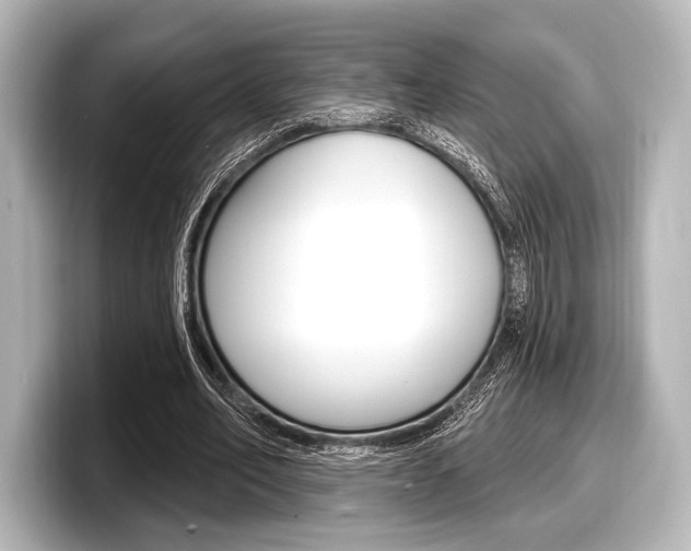 X0000098170582200804241011