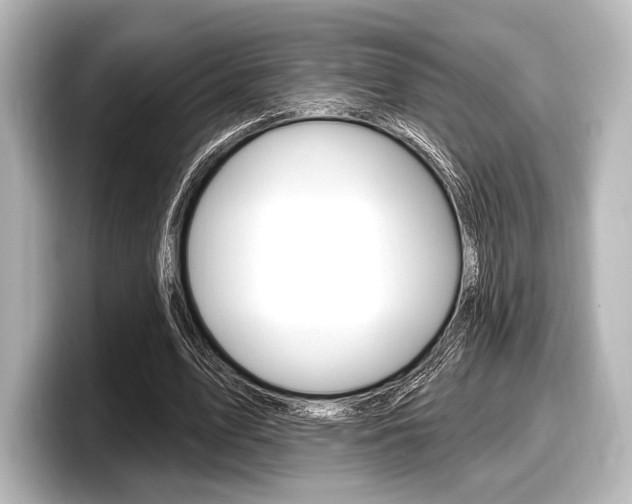X0000098170583200804241011