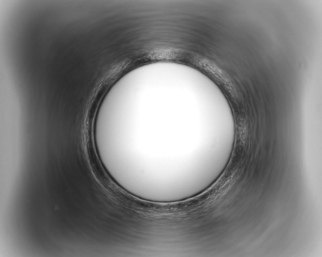 X0000098170586200804241011