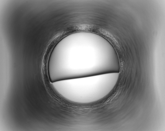 X0000098170587200804241011