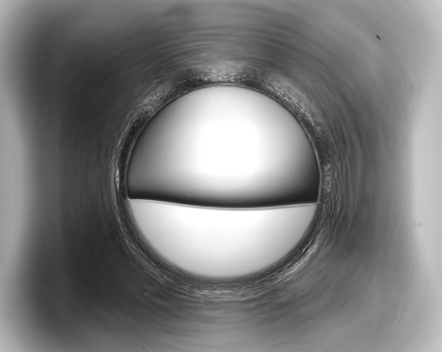 X0000098170589200804241011