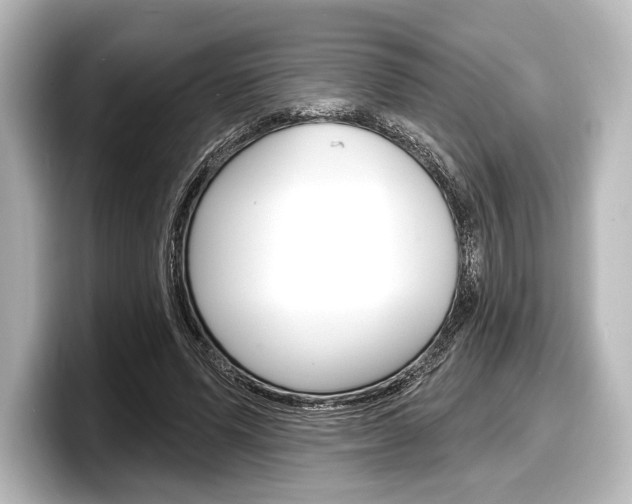 X0000098170591200804241011