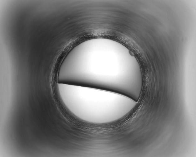 X0000098170592200804241011
