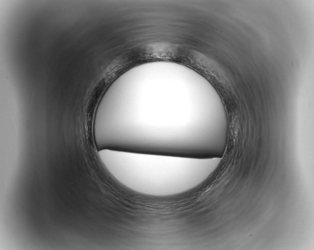 X0000098170595200804241011
