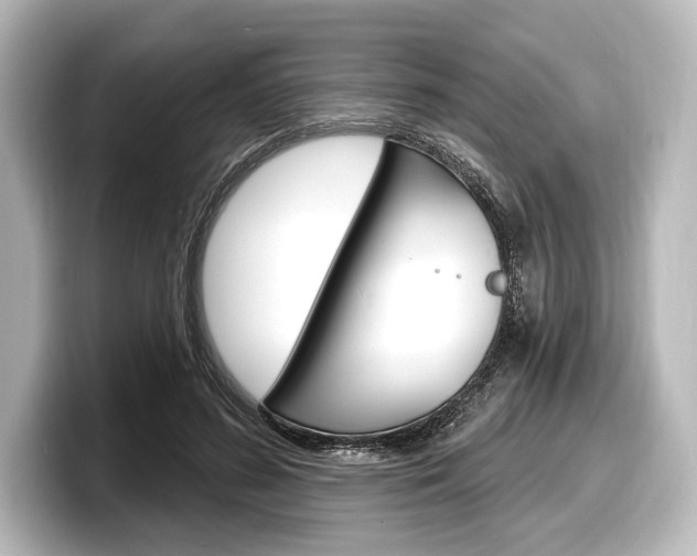 X0000098170596200804241011